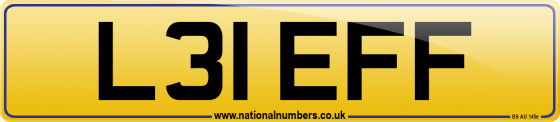 L31 EFF
