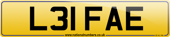 L31 FAE