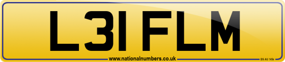 L31 FLM