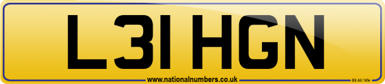 L31 HGN