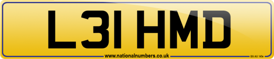 L31 HMD