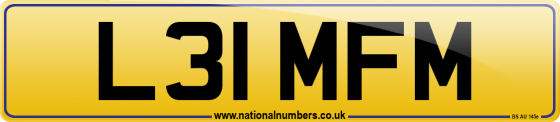 L31 MFM