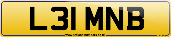 L31 MNB