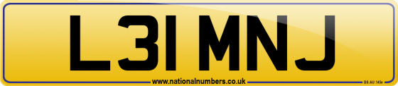 L31 MNJ