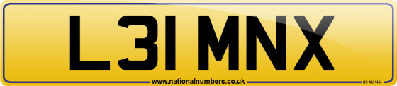 L31 MNX