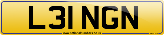 L31 NGN