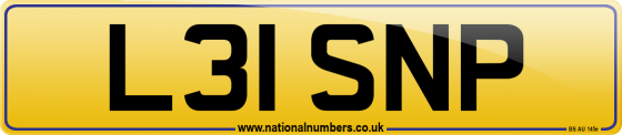 L31 SNP