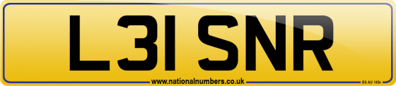 L31 SNR
