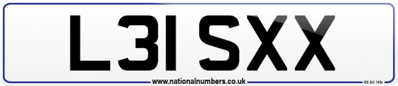 L31 SXX