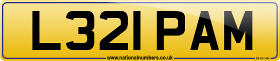 L321 PAM