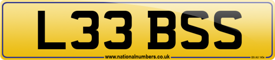 L33 BSS