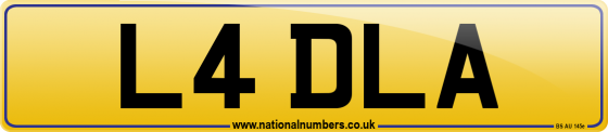 L4 DLA