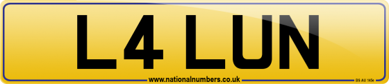 L4 LUN