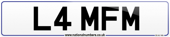 L4 MFM