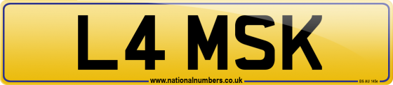 L4 MSK