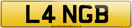 L4 NGB