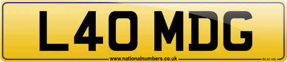 L40 MDG