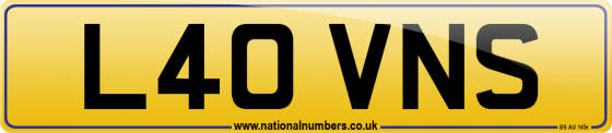 L40 VNS