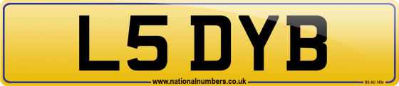 L5 DYB