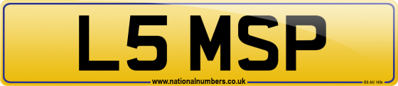 L5 MSP