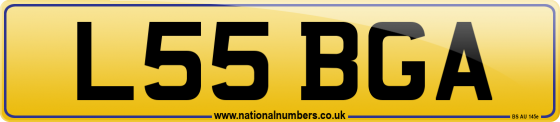L55 BGA