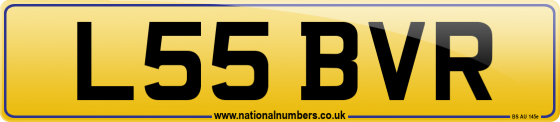 L55 BVR
