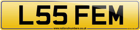 L55 FEM