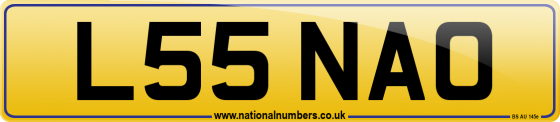 L55 NAO