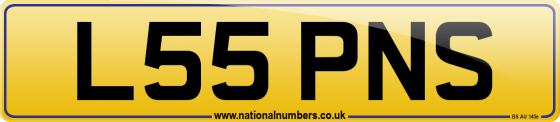 L55 PNS