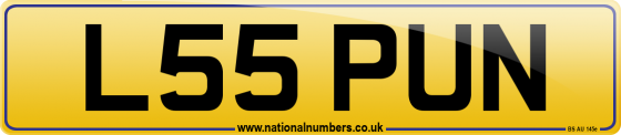 L55 PUN
