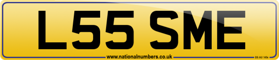 L55 SME