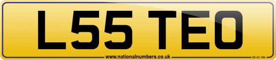 L55 TEO