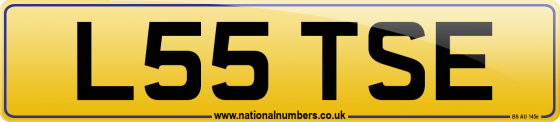 L55 TSE