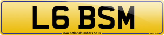 L6 BSM