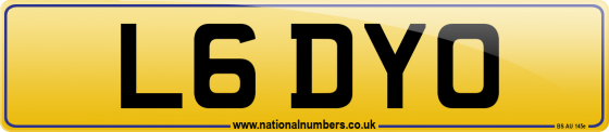 L6 DYO