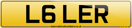 L6 LER