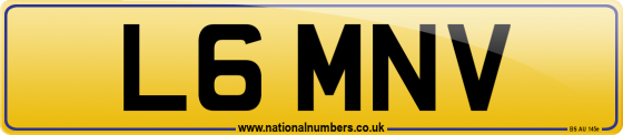 L6 MNV
