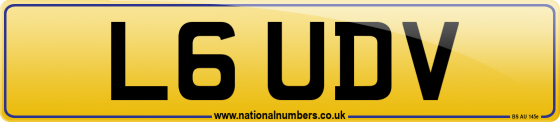 L6 UDV