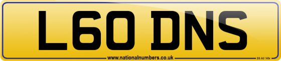 L60 DNS