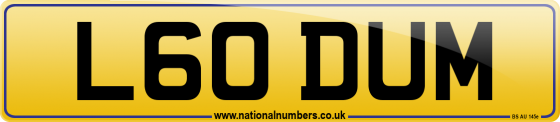 L60 DUM