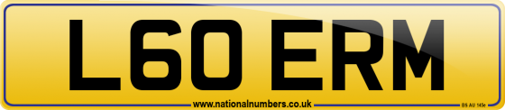 L60 ERM