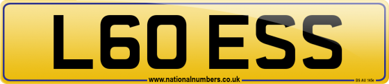 L60 ESS