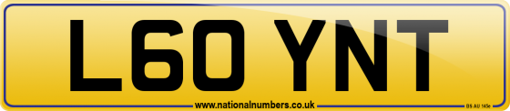 L60 YNT