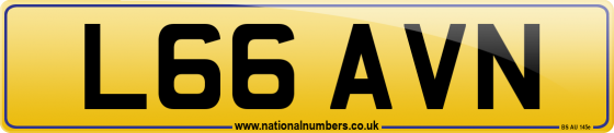 L66 AVN