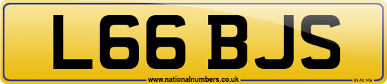 L66 BJS