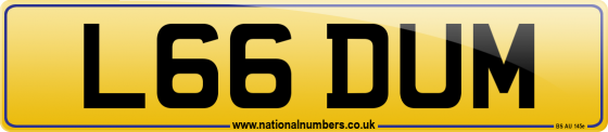L66 DUM