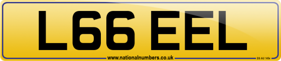 L66 EEL