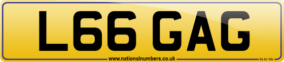 L66 GAG