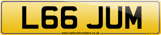 L66 JUM