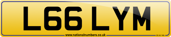 L66 LYM